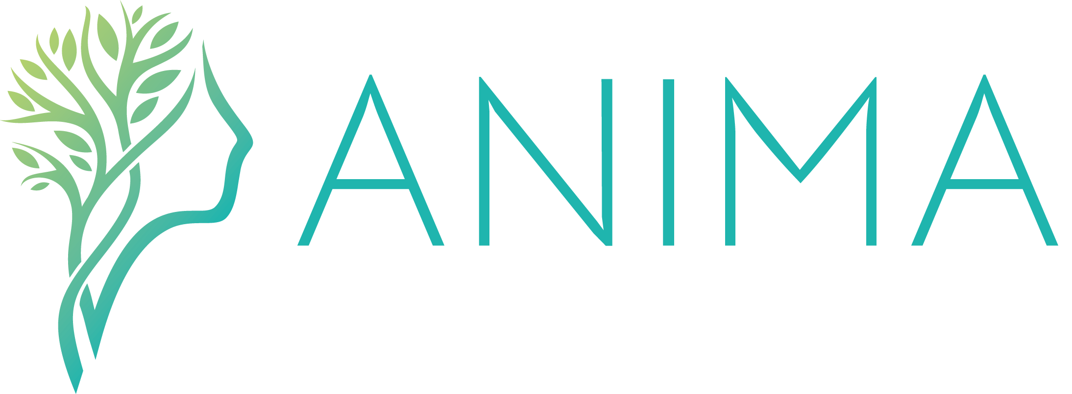 ANIMA | Clínica Multidisciplinar